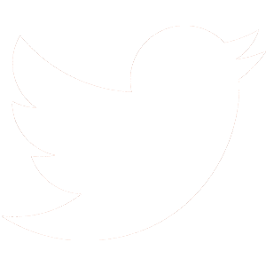 Logo Twitter 