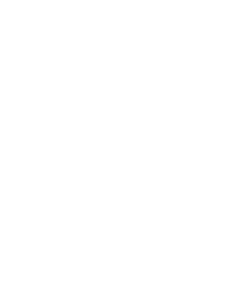 icono de login